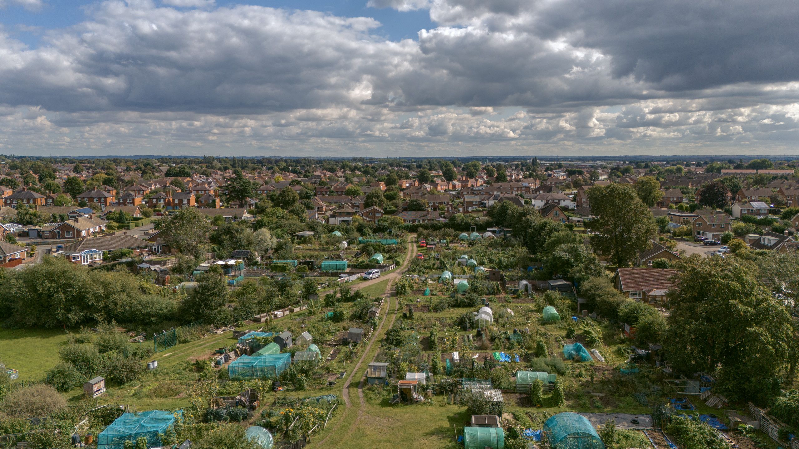 Aerial photograph of allotment gardens leading towards rows of suburban homes